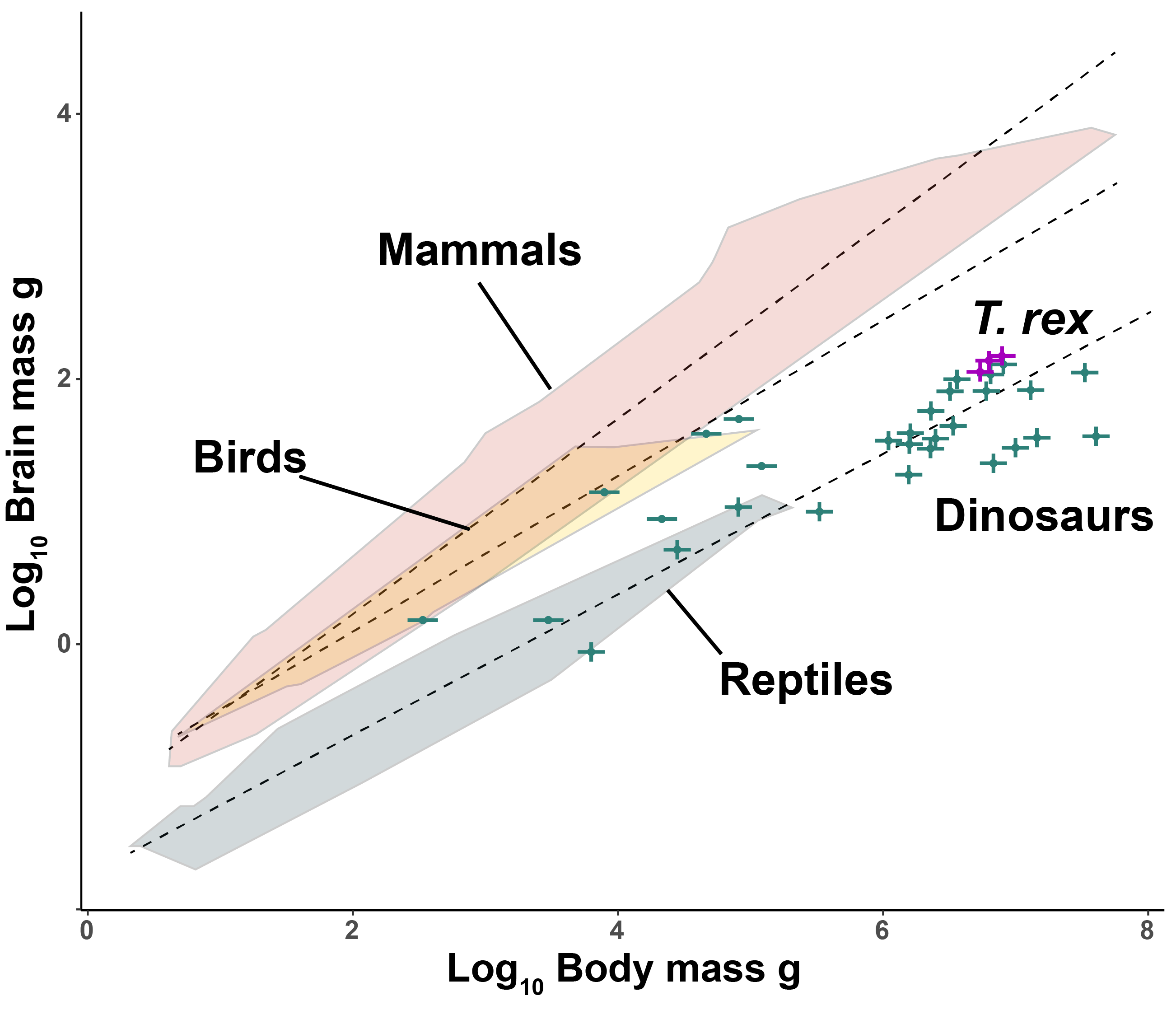 Imatge 1. Relació entre la mida del cervell i la mida del cos en vertebrats terrestres. Dinosaures com el T. rex tenen proporcions de mida del cervell respecte al cos similar a la dels rèptils actuals. (Crèdit: Cristian Gutiérrez-Ibáñez).